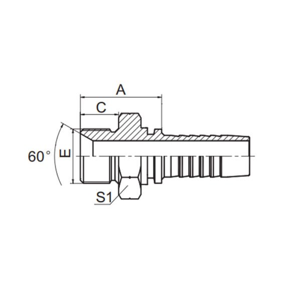 BSP MALE DOUBLE USE FOR 60° CONE SEAT OR BONDED SEAL