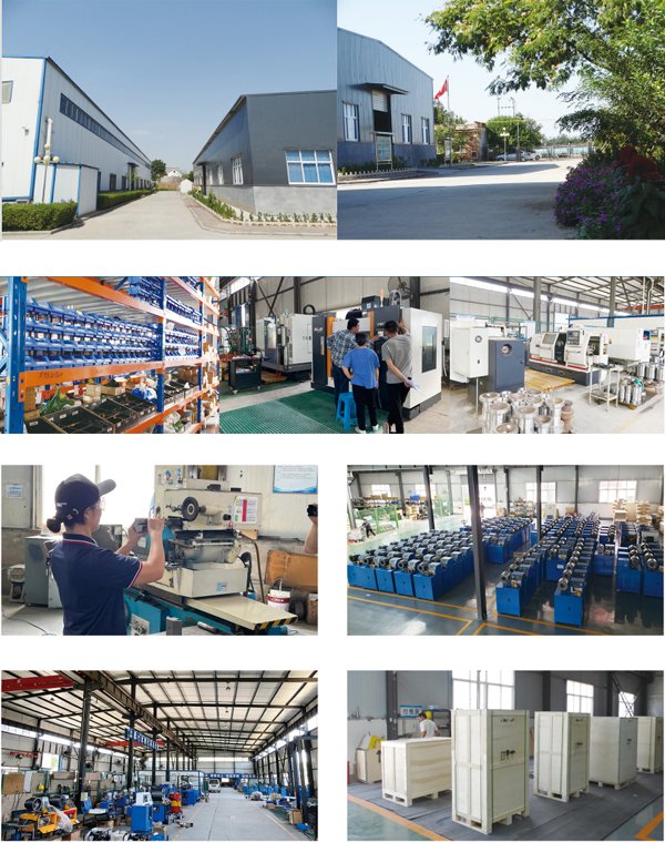 CYT Hydraulic factory overview showing CNC machining centers, massive crimping machine inventory, and export-ready wooden crate packaging.